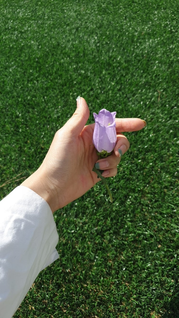  봄날 주말 간단 일상