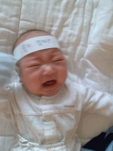 슬쌍디아빠 과거로의 산책(2013.04.26.) 육아일기 FILE 123 / 순둥이와 떼보