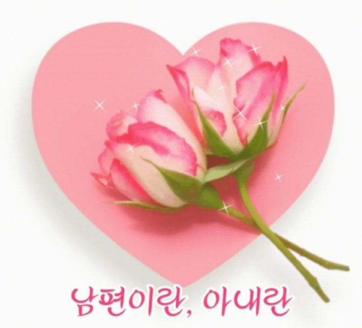 남편이란,아내란 남편이란,아내란