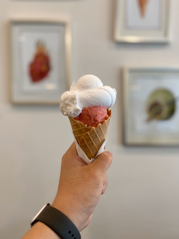 [호치민 카페][2군](타오디엔) 호치민에서 제일 맛있는 젤라또, Osterberg ice cream (열네번째) (2020.04.26 방문)