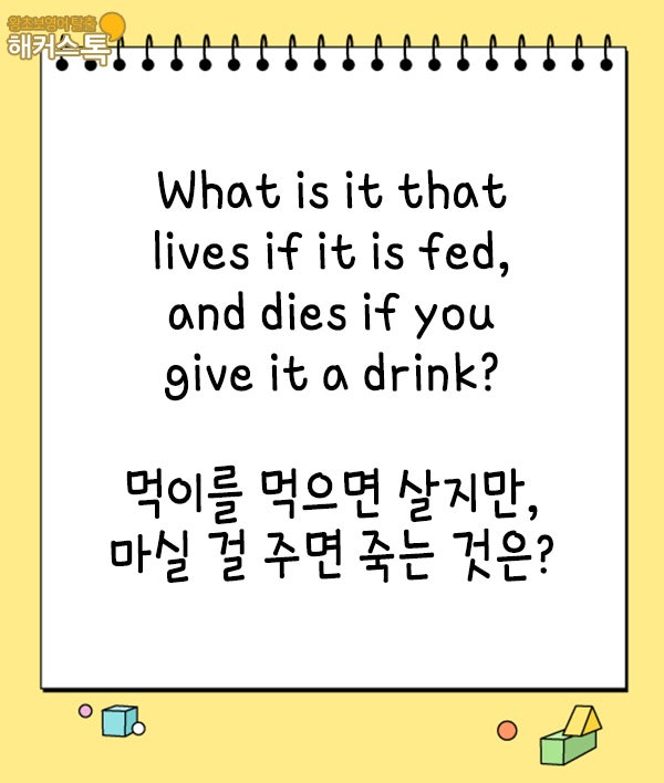 영어퀴즈 재밌는 영어 넌센스 나는 몇 개나 풀 수 있을까? : 네이버 블로그 영어퀴즈 재밌는 영어 넌센스 나는 몇 개나 풀 수 있을까? : 네이버 블로그