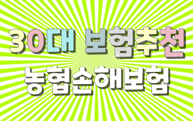  30대보험추천 농협손해보험