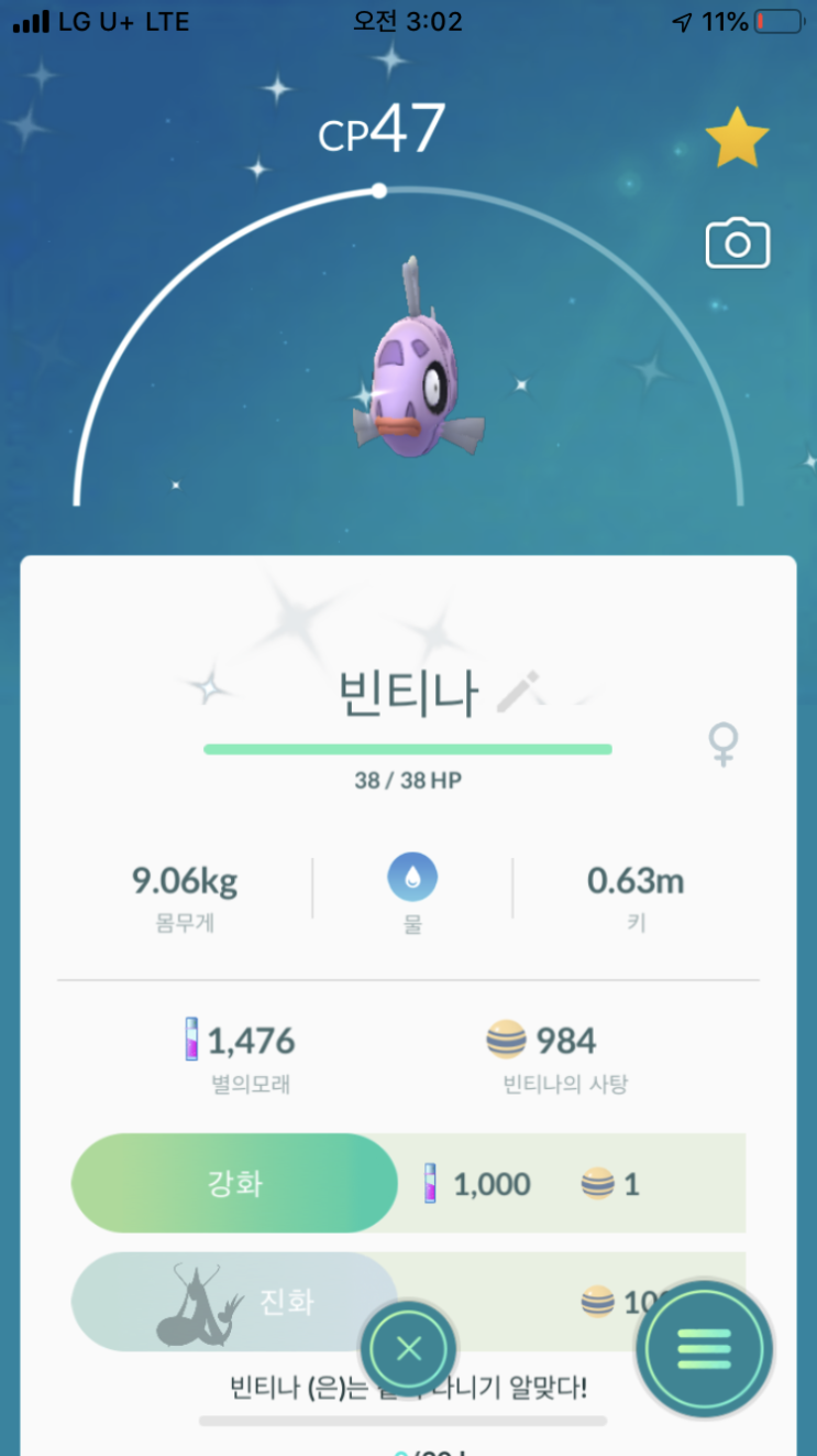  빈티나 이로치