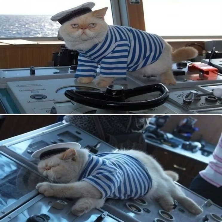  이해말고 받아들여