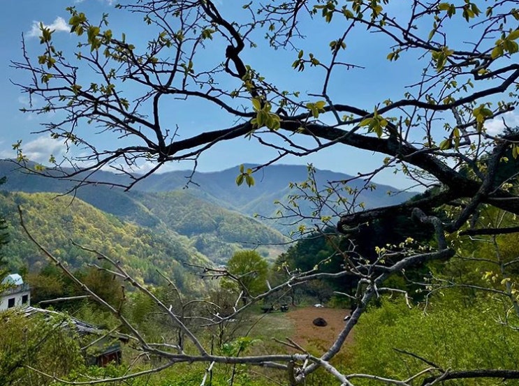  등산