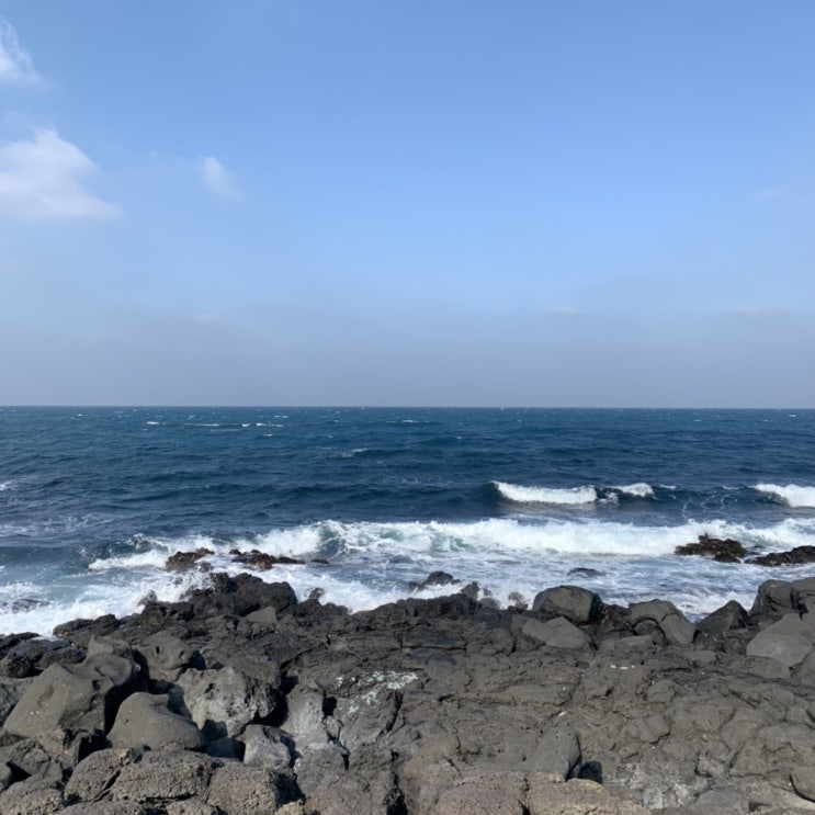  [제주도여행]
