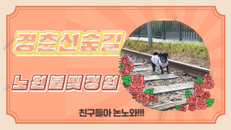경춘선숲길 & 노원불빛정원 주차부터 후기까지. 강아지 친구들아 논노와. 경춘선숲길 & 노원불빛정원 주차부터 후기까지. 강아지 친구들아 논노와.