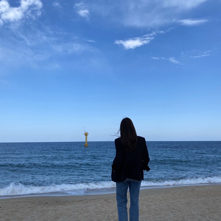  /속초 당일치기 우정여행, 한성칼국수, 봉브레드, 천진해수욕장, 글라스하우스, 속초시장 남포동 호떡, 만석닭강정