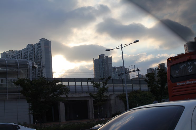  한주의 시작 월요일도 마무리됩니다