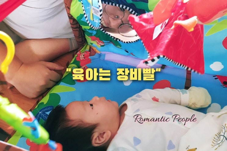 아기체육관 리뷰(타이니러브/피셔프라이스) 아기체육관 리뷰(타이니러브/피셔프라이스)