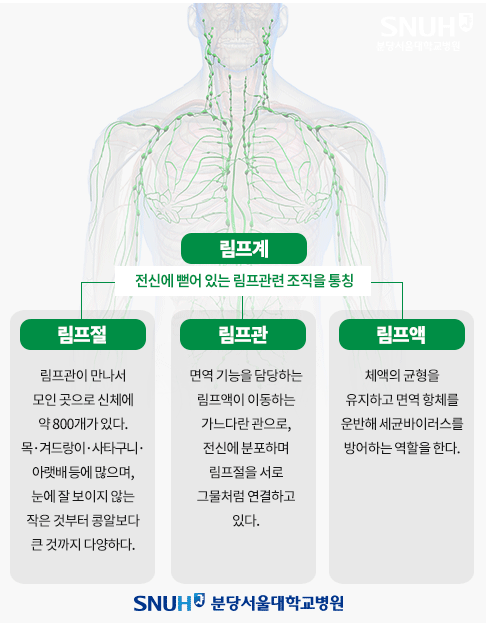 삶의 질을 떨어뜨리는 '림프부종' - 무거운 팔과 다리, 빠지지 않는 붓기 림프부종에 대하여 : 네이버 블로그