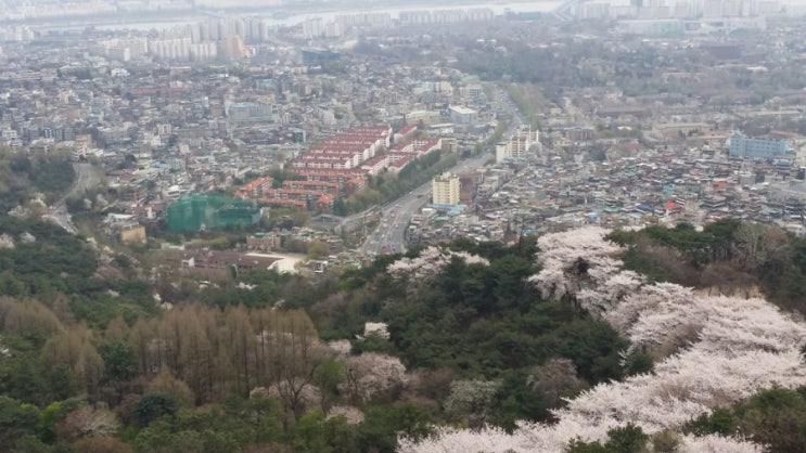  정은 디자이너의 일상생활