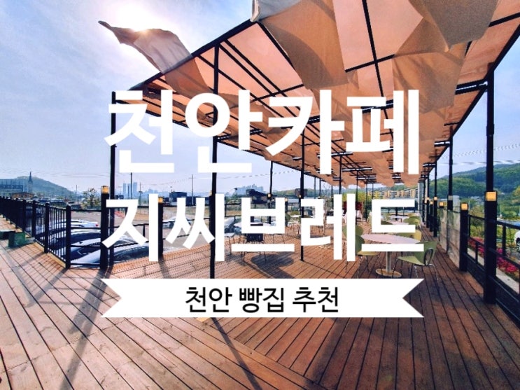  천안 빵집 지씨브레드 GC BREAD 천안 핫플 카페