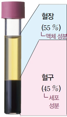 자연정혈요법과 심천사혈요법