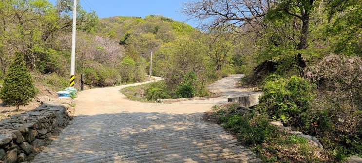 운길산 득템 , 세정사계곡 앵초 보너스 운길산 득템 , 세정사계곡 앵초 보너스