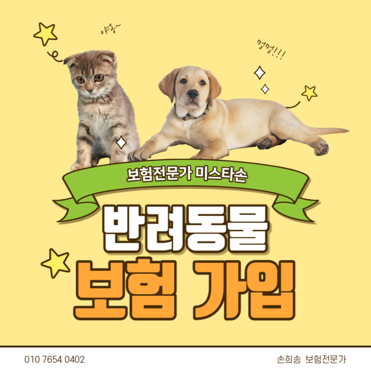  반려동물 보험가입 (강아지, 고양이)