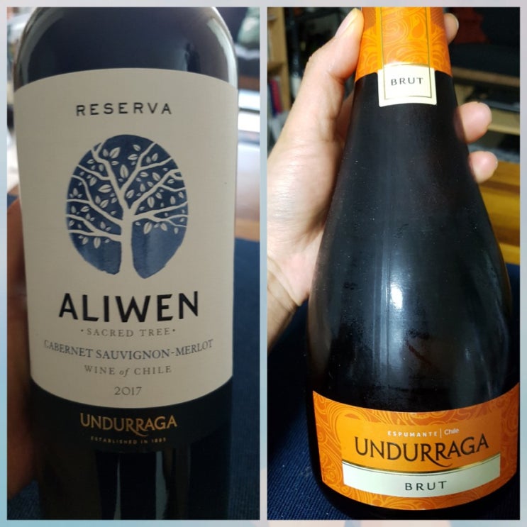 이마트24 가성비 칠레 와인 2종 추천