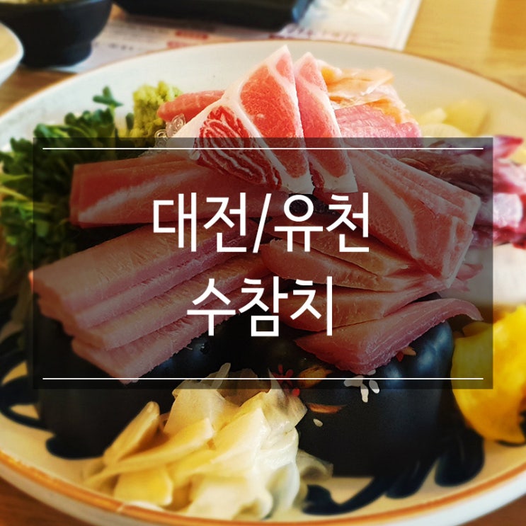 대전 중구 맛집 &lt;수참치&gt; 최고급 참다랑어가 있는 유천동 식당