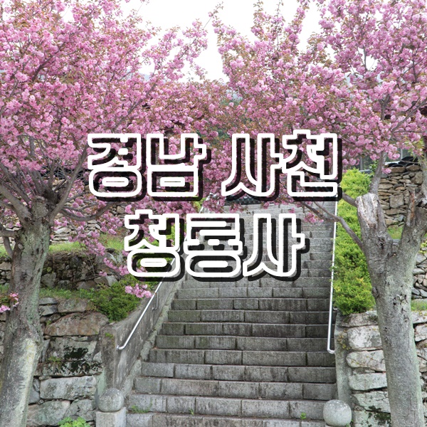  경남 사천 겹벚꽃 명소 청룡사와 생활의달인 맛집 충무김밥