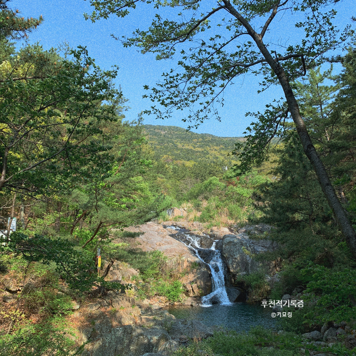 부산 등산 코스 추천 : 장산, 숨은 정상을 찾아서 코스