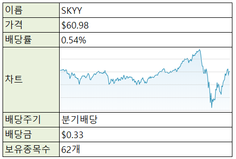  [재테크/미국주식] 미국주식 ETF - SKYY (클라우드 IT 산업)