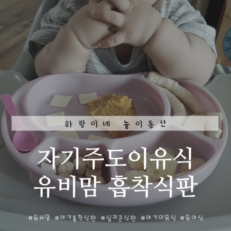  자기주도이유식 시작, 유비맘식판 흡착력 갑오브갑