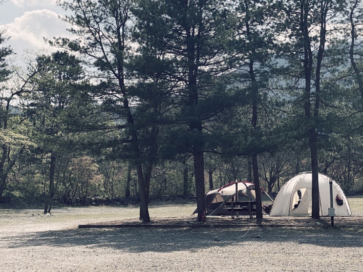 남양주. 수동면. 우리마을캠핑장. feat. 예비사돈 우정캠핑. 돌풍캠핑. 남양주. 수동면. 우리마을캠핑장. feat. 예비사돈 우정캠핑. 돌풍캠핑.