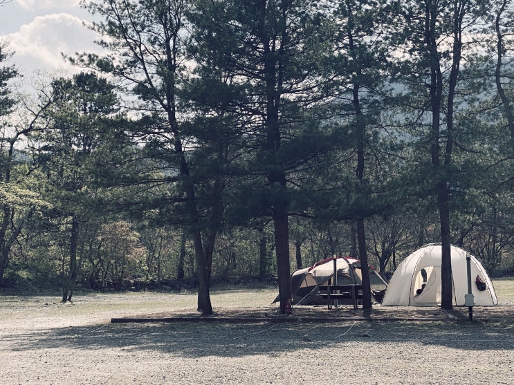 남양주. 수동면. 우리마을캠핑장. feat. 예비사돈 우정캠핑. 돌풍캠핑.