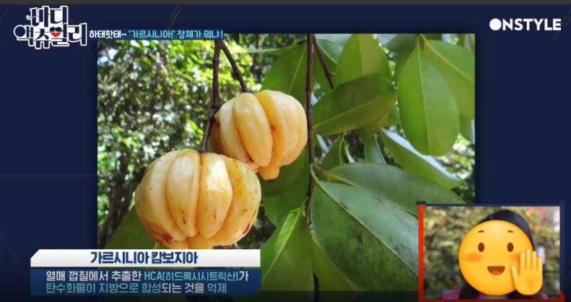 가르시아 캄보디아 효능&가르니시아 먹는 방법 및 부작용 등 6