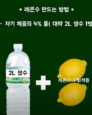 현대판 불로초 불노과일 비타민P 레몬 효능
