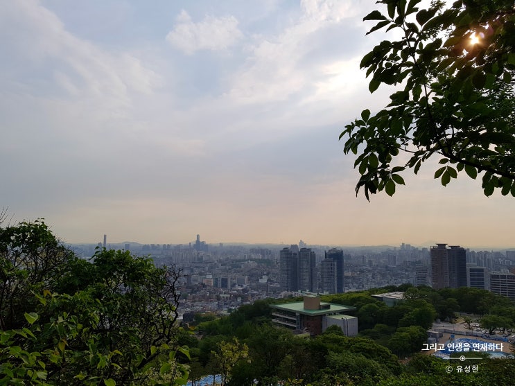  <Itinerary, 그리고 인생을 연재하다 150> 택시 삼라만상