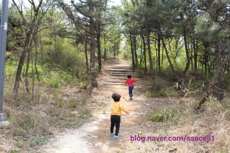  청라해변공원 산책 다녀왔어요.
