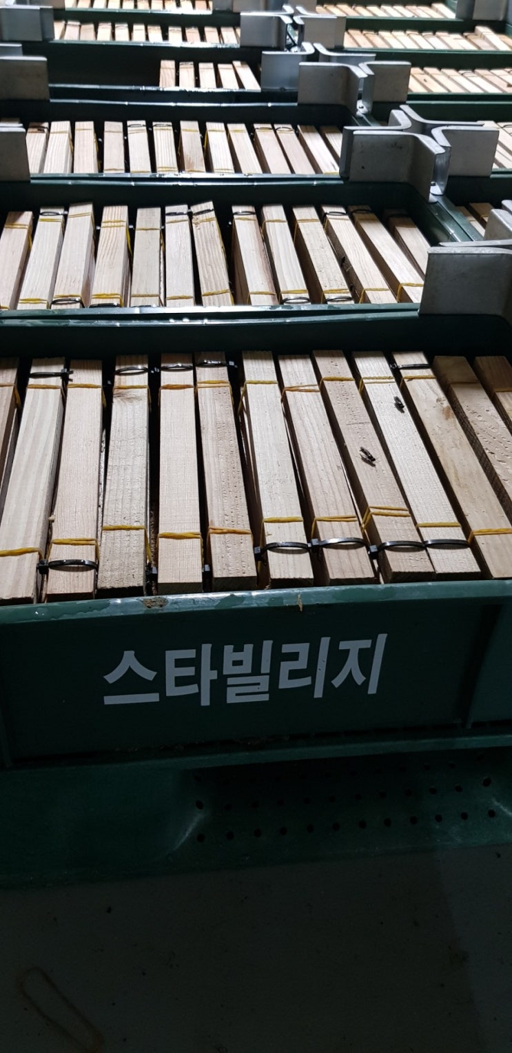  경북 성주군 동애등에(피닉스 웜) 생산 농장 스타빌리지 대량 부화