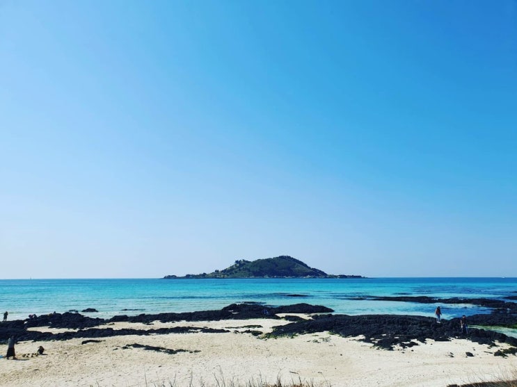  제주 2박3일간의 여행후 피로를 풀기 좋은 휴식처는 이곳 태국 전통마사지 "힐링투게더" 에서