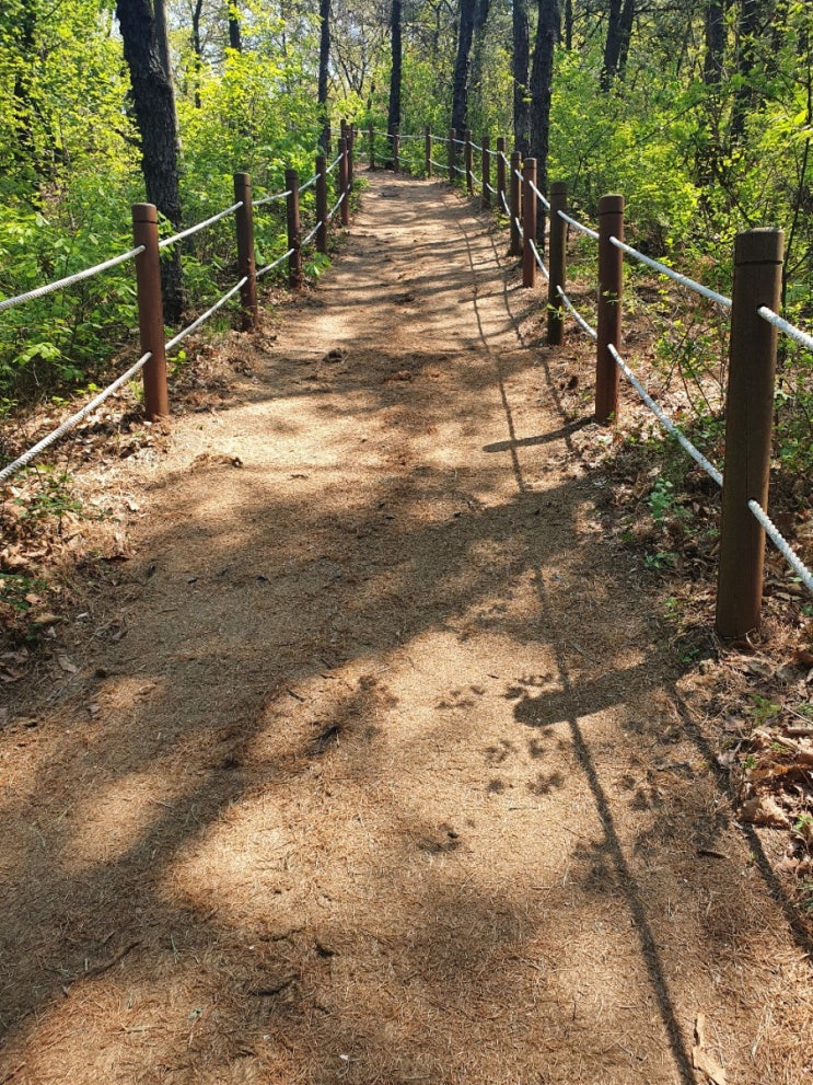  산, 걷기, 분실, 되돌아보기