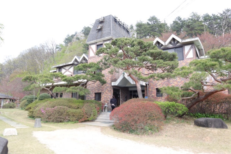  천안북면 드라이브코스 벚꽃길 속 무진가든(식당) 불고기전골 후기..