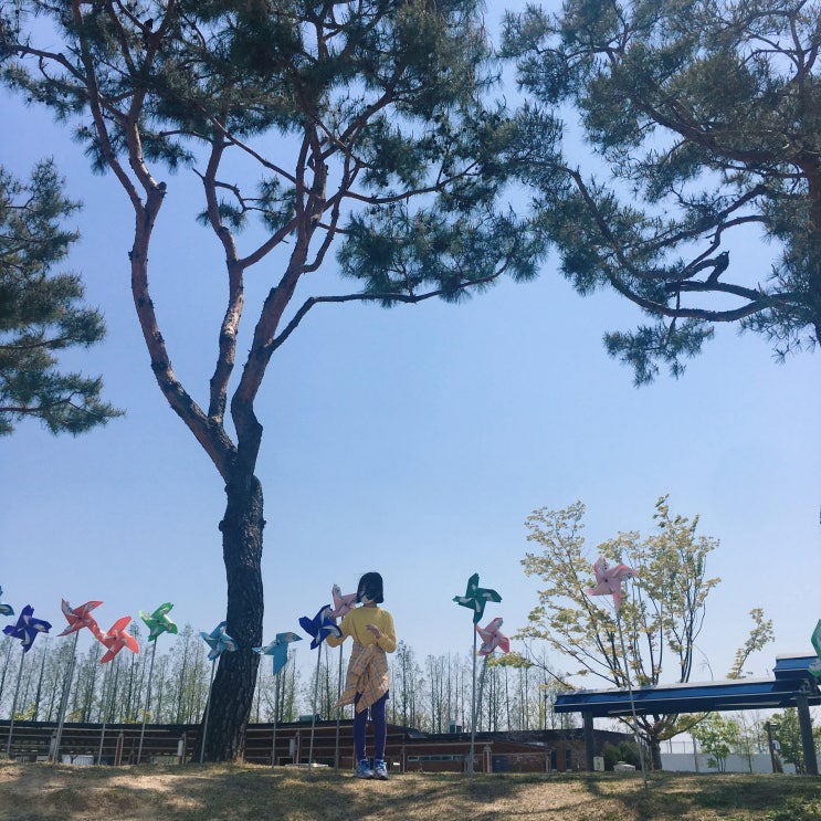  글램핑 2탄 (세종 호수공원)