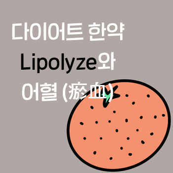 살빼는한약. 공덕 다이어트 한의원. ⑤ 어혈(瘀血)과 지방축적, 셀룰라이트. Lipolyze의 효과 살빼는한약. 공덕 다이어트 한의원. ⑤ 어혈(瘀血)과 지방축적, 셀룰라이트. Lipolyze의 효과