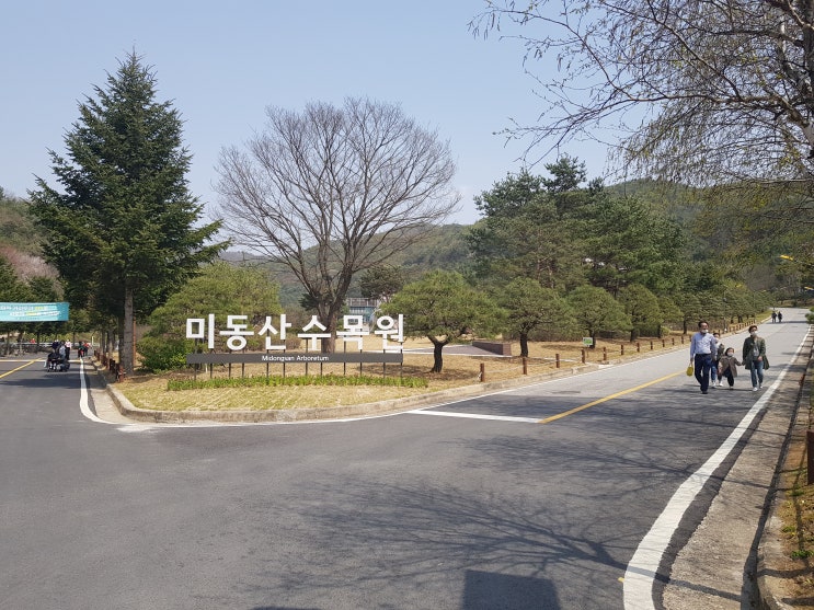  주말나들이/청주가볼만한곳/아이와 나들이/입장료 없는곳/미동산수목원
