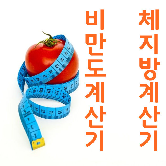  비만도계산기 체지방계산기 알려드릴게요!
