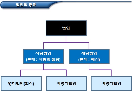 법인의 종류 및 비영리법인의 개념 및 목적