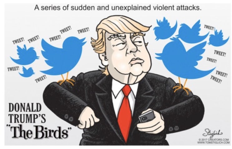 [모닝브리핑] 트럼프는 왜 일요일에만 트윗을 40개 날렸을까