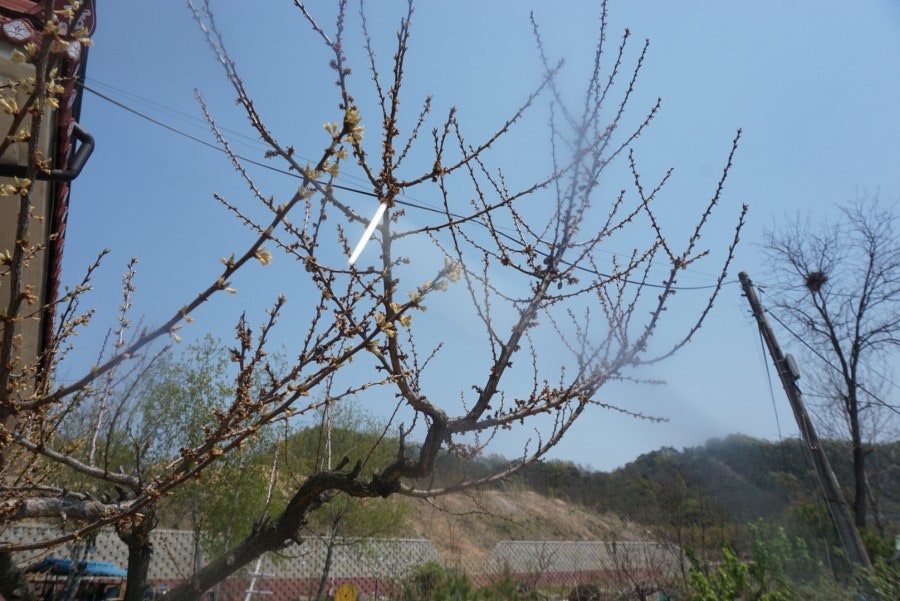 순애네추어탕 사진 1