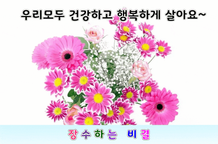 장수하는 비결 장수하는 비결