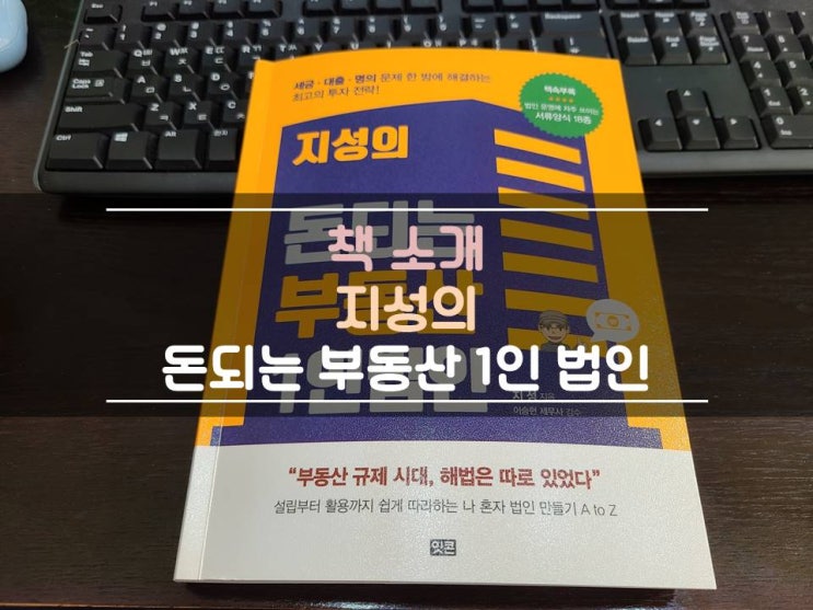 지성의 돈되는 부동산 1인법인