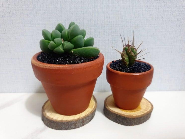  다이어트 + 간헐적 단식 2일차