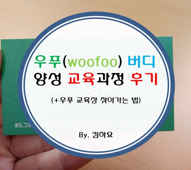우푸(woofoo) 버디 양성교육과정후기 (+우푸 교육장 찾아가는법)