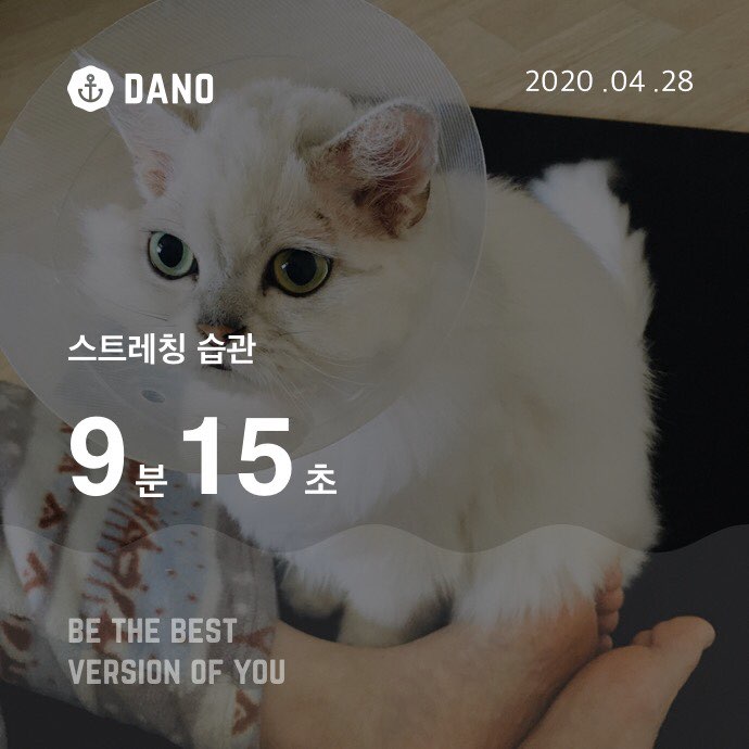  [건강도빛나지예] 마이다노 베이직 케어 4월 온라인 PT 23일차