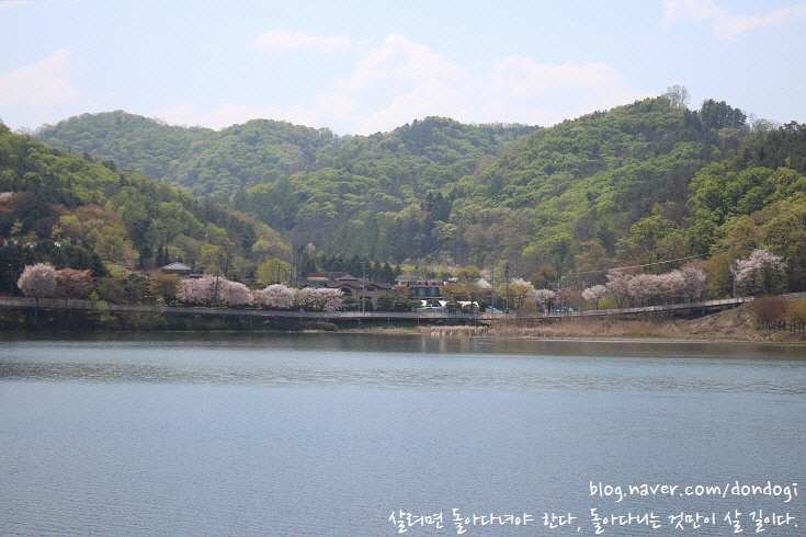  경기 광주 팔당 물안개공원 - 에서 자전거를 타고, 괴산집에서 전복정식으로 점심