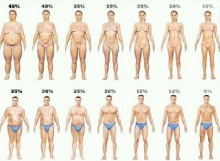  나는 어떨까??